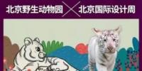 钱包imtoken{imtoken哪儿的}为新手评测